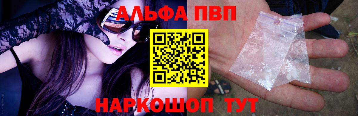 Альфа ПВП СК КРИС Балашов